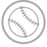 Baseball icon